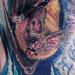 Tattoos - Vampire Bat - 77698